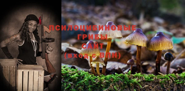герыч Вяземский