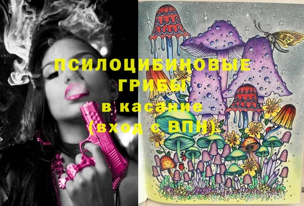 герыч Вяземский