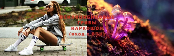 герыч Вяземский