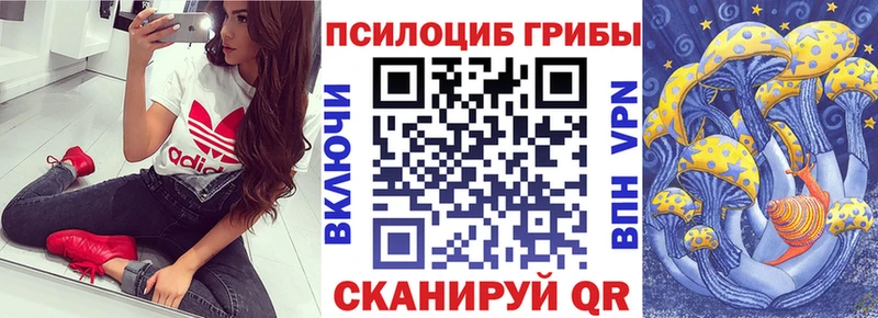 Галлюциногенные грибы ЛСД  Дудинка 